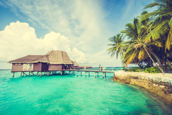 Güzel tropikal Maldivler resort