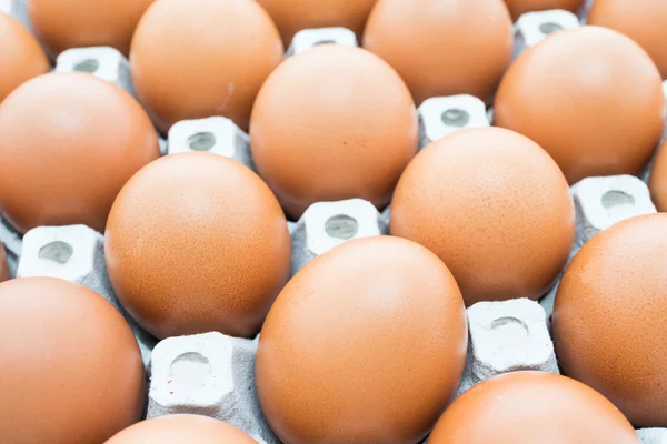 Eggs pack in box — Stock Photo, Image