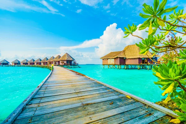 Güzel tropikal Maldivler resort