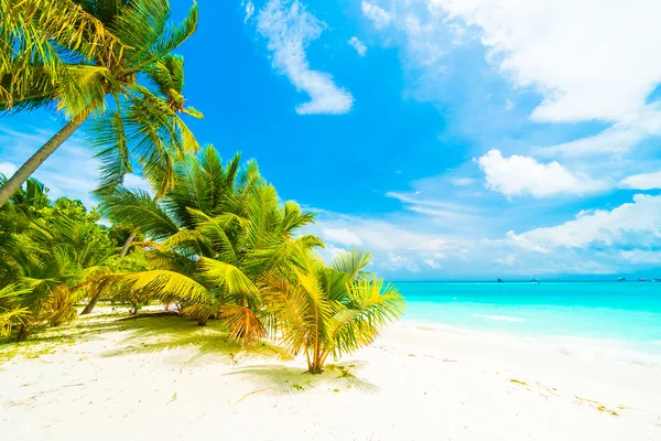 Beautiful tropical Maldives resort Royalty Free Stock Photos