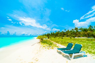 Güzel tropikal Maldivler resort