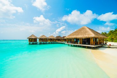 Güzel tropikal Maldivler resort