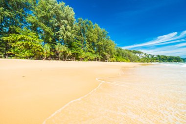 Güzel tropikal plaj ve deniz