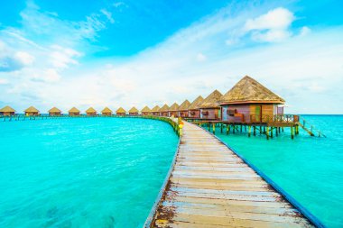 Güzel tropikal Maldivler resort