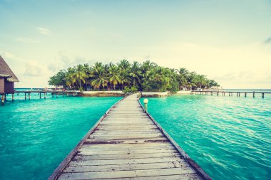 Güzel tropikal Maldivler resort