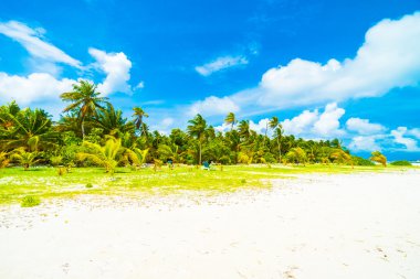 Güzel tropikal Maldivler resort