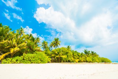 Güzel tropikal Maldivler resort