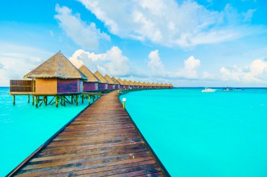 Güzel tropikal Maldivler resort