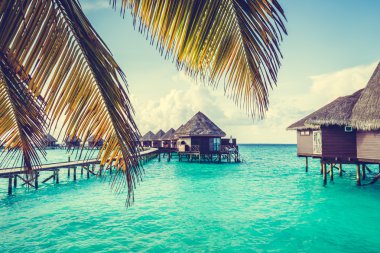 Güzel tropikal Maldivler resort