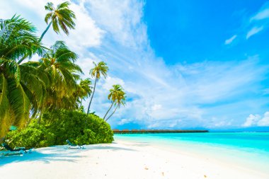 Güzel tropikal Maldivler ada