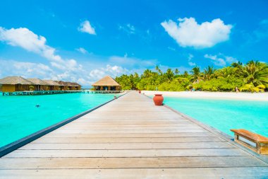 Güzel tropikal Maldivler ada