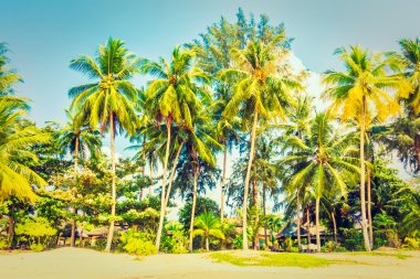 Güzel tropikal plaj ve deniz