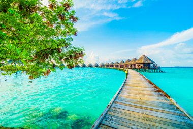 Güzel tropikal Maldivler resort