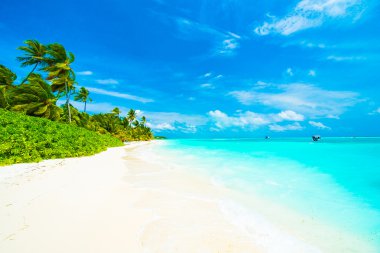 Güzel tropikal Maldivler ada