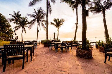 Plaj ve deniz güzel Hindistan cevizi hurma ağacı