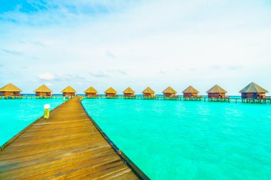 Güzel tropikal Maldivler ada