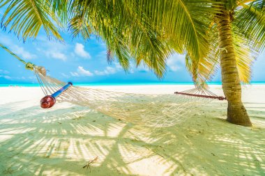 Güzel tropikal Maldivler ada