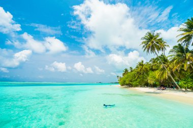 Güzel tropikal Maldivler ada