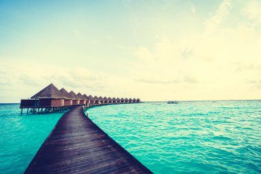 Güzel tropikal Maldivler ada