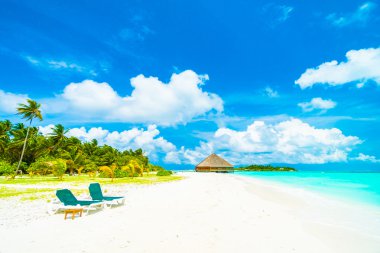 Güzel tropikal Maldivler ada