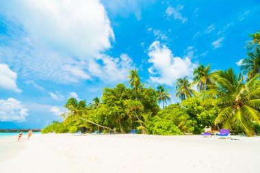 Güzel tropikal Maldivler ada