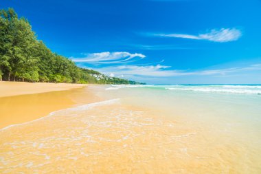 Güzel tropikal plaj ve deniz