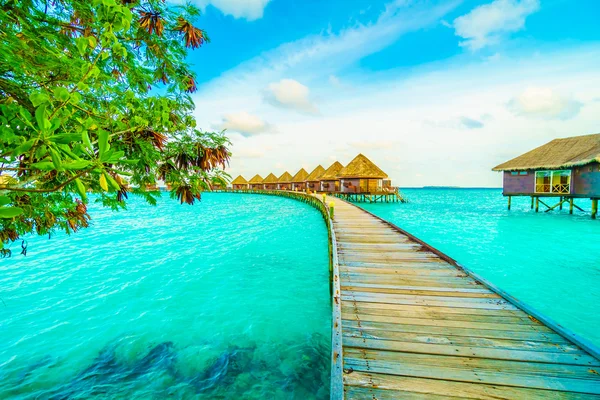 Hermosa isla tropical de Maldivas —  Fotos de Stock