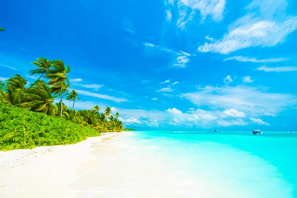 Beautiful tropical Maldives island — Stock Photo, Image