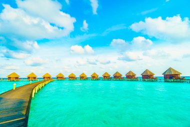 Güzel tropikal Maldivler ada