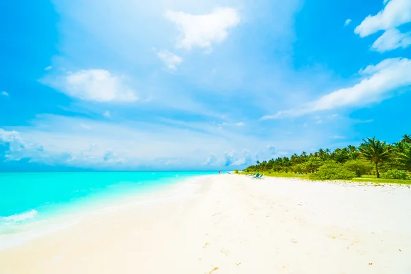 Wunderschöne tropische Insel der Malediven — Stockfoto