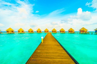 Güzel tropikal Maldivler ada 