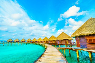 Güzel tropikal Maldivler ada 