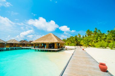 Güzel tropikal Maldivler ada 
