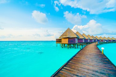 Güzel tropikal Maldivler resort