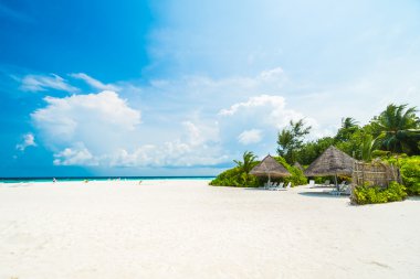 Güzel tropikal Maldivler ada 