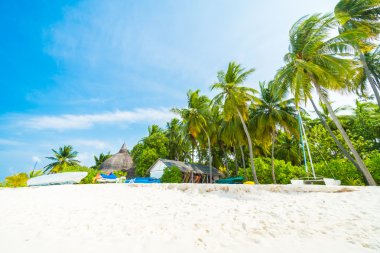 Güzel tropikal Maldivler resort