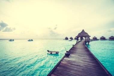 Güzel tropikal Maldivler ada 
