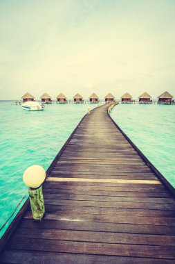 Güzel tropikal Maldivler ada 
