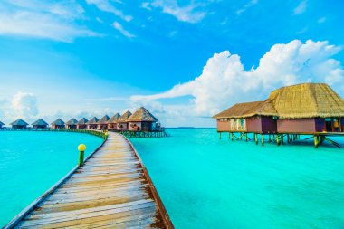 Güzel tropikal Maldivler resort