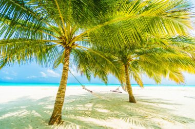 Güzel tropikal Maldivler ada 