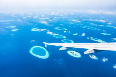 Güzel tropikal Maldivler ada 