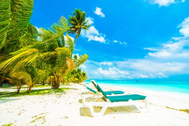 Güzel tropikal Maldivler ada 