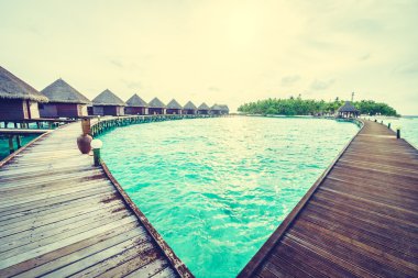 Güzel tropikal Maldivler ada 