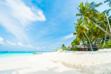 Güzel tropikal Maldivler resort