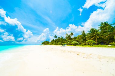 Güzel tropikal Maldivler ada 