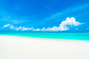 Güzel tropikal Maldivler ada 