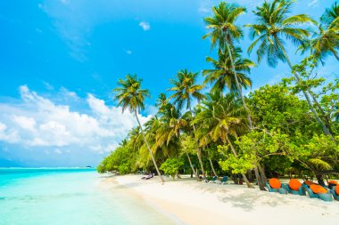 Güzel tropikal Maldivler ada 