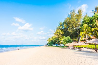 Şemsiye ve sandalye sahilde.