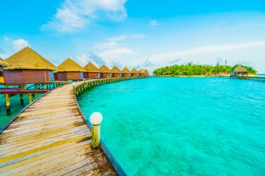 Güzel tropikal Maldivler resort