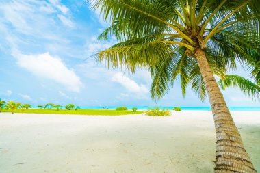 Güzel tropikal Maldivler ada 